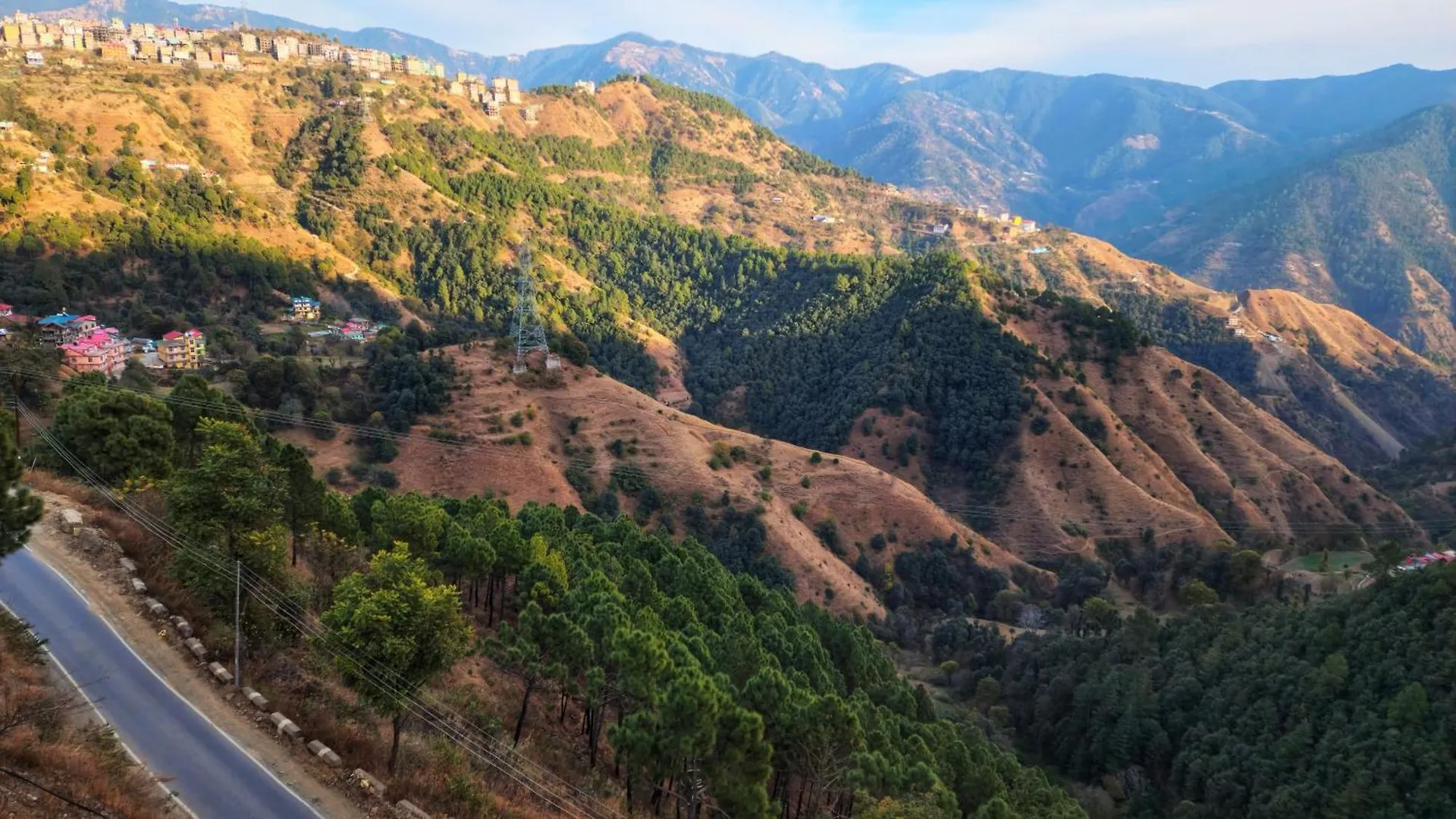 Bed & Breakfast Royal Cedar B&B Simla
