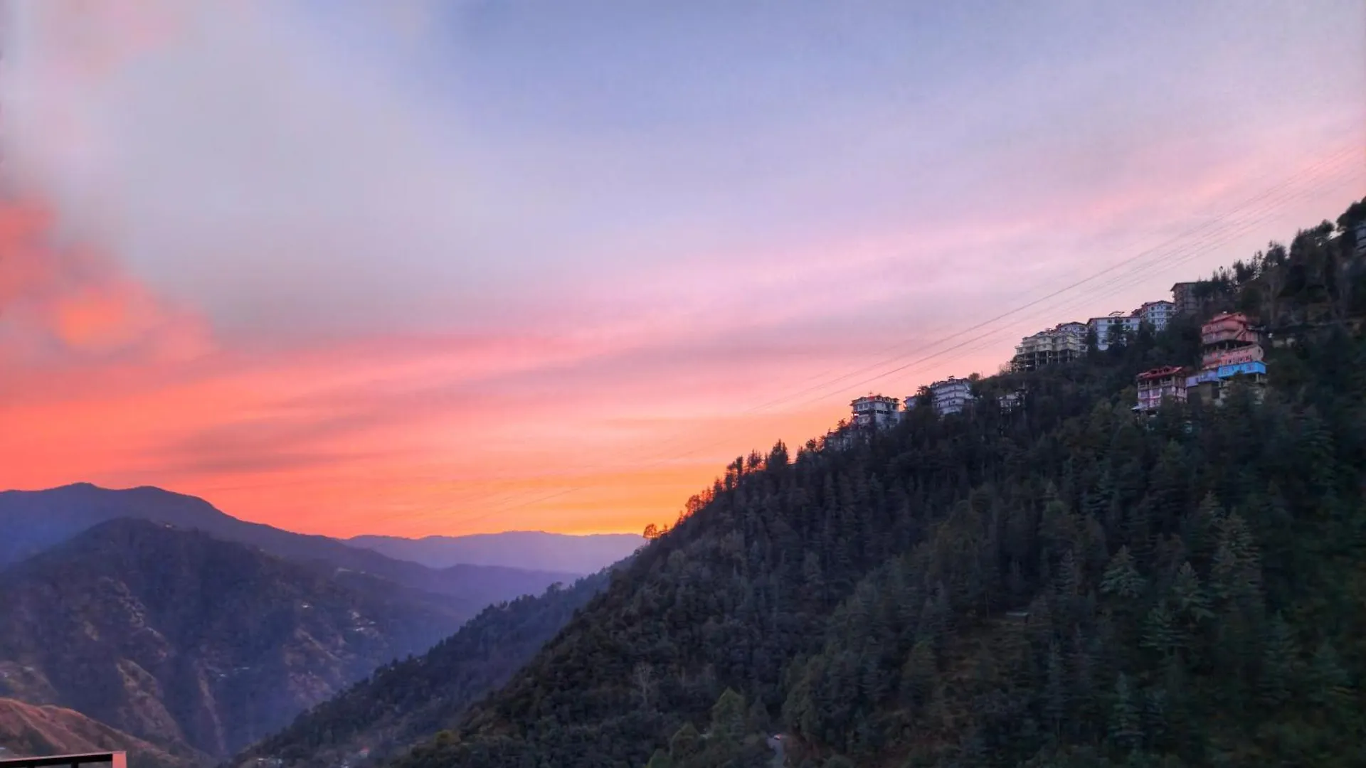 Royal Cedar B&B Simla Shimla