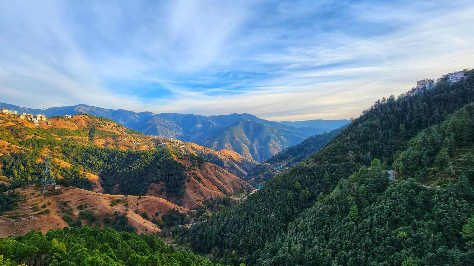 Royal Cedar B&B Simla Bed & Breakfast