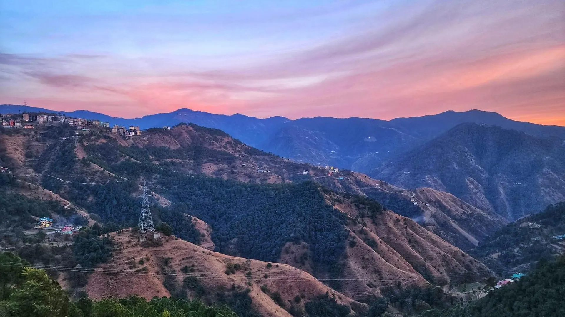 Royal Cedar B&B Simla Bed & Breakfast Shimla